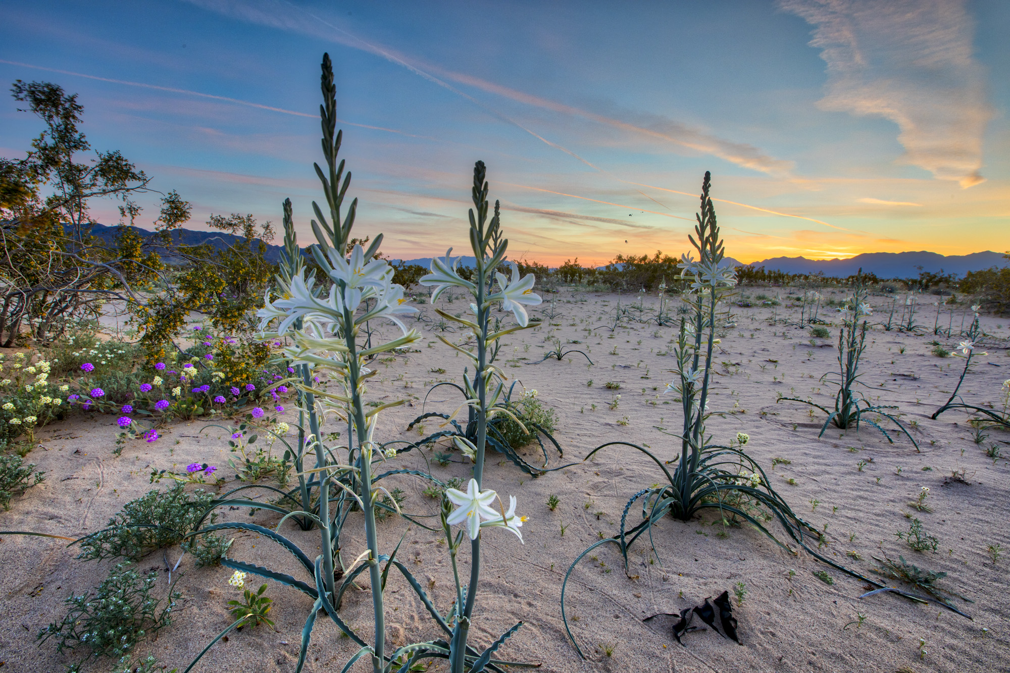 Desert Center, California