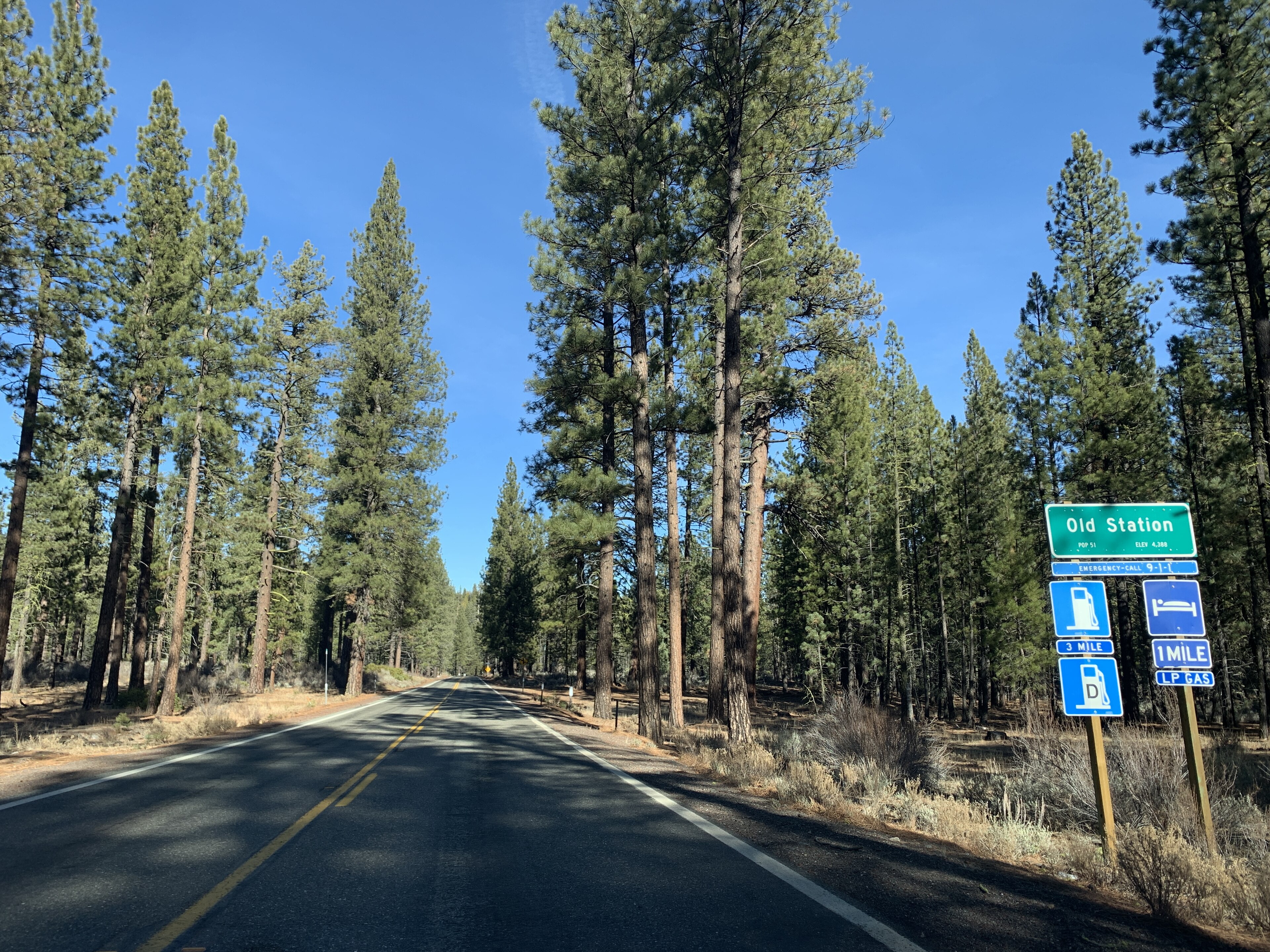 Old Station, California
