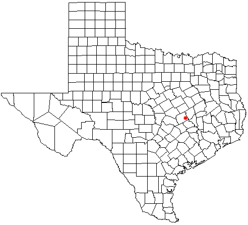 Gause, Texas
