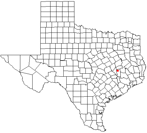 Iola, Texas