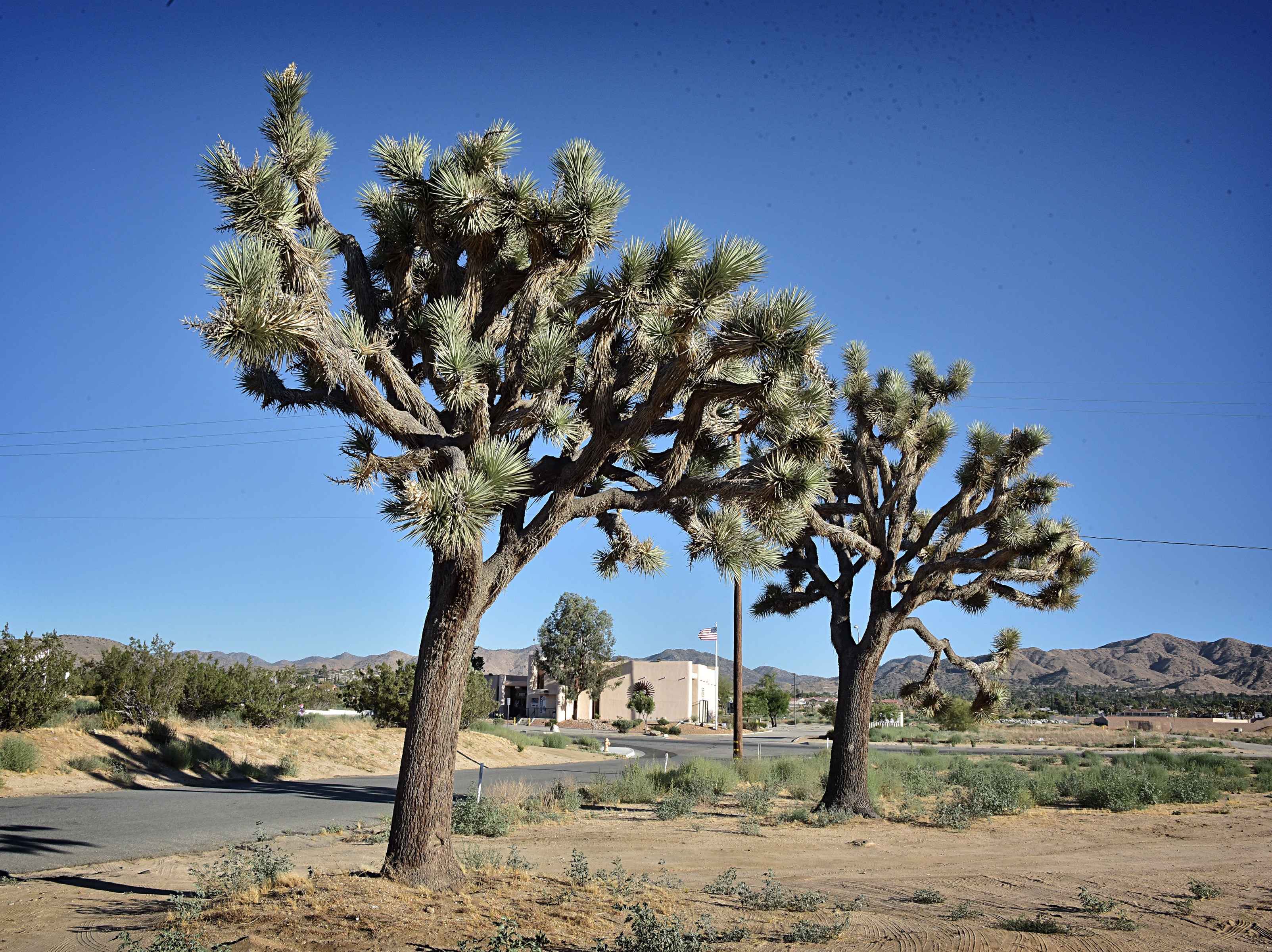 Yucca Valley, California