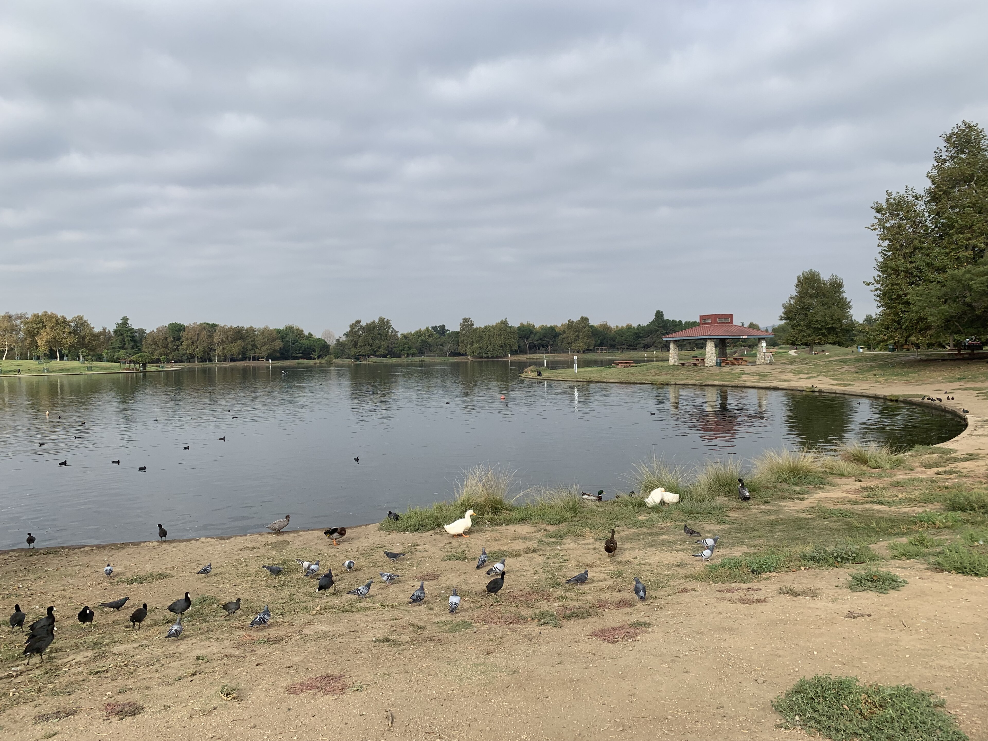 Lake Balboa, California