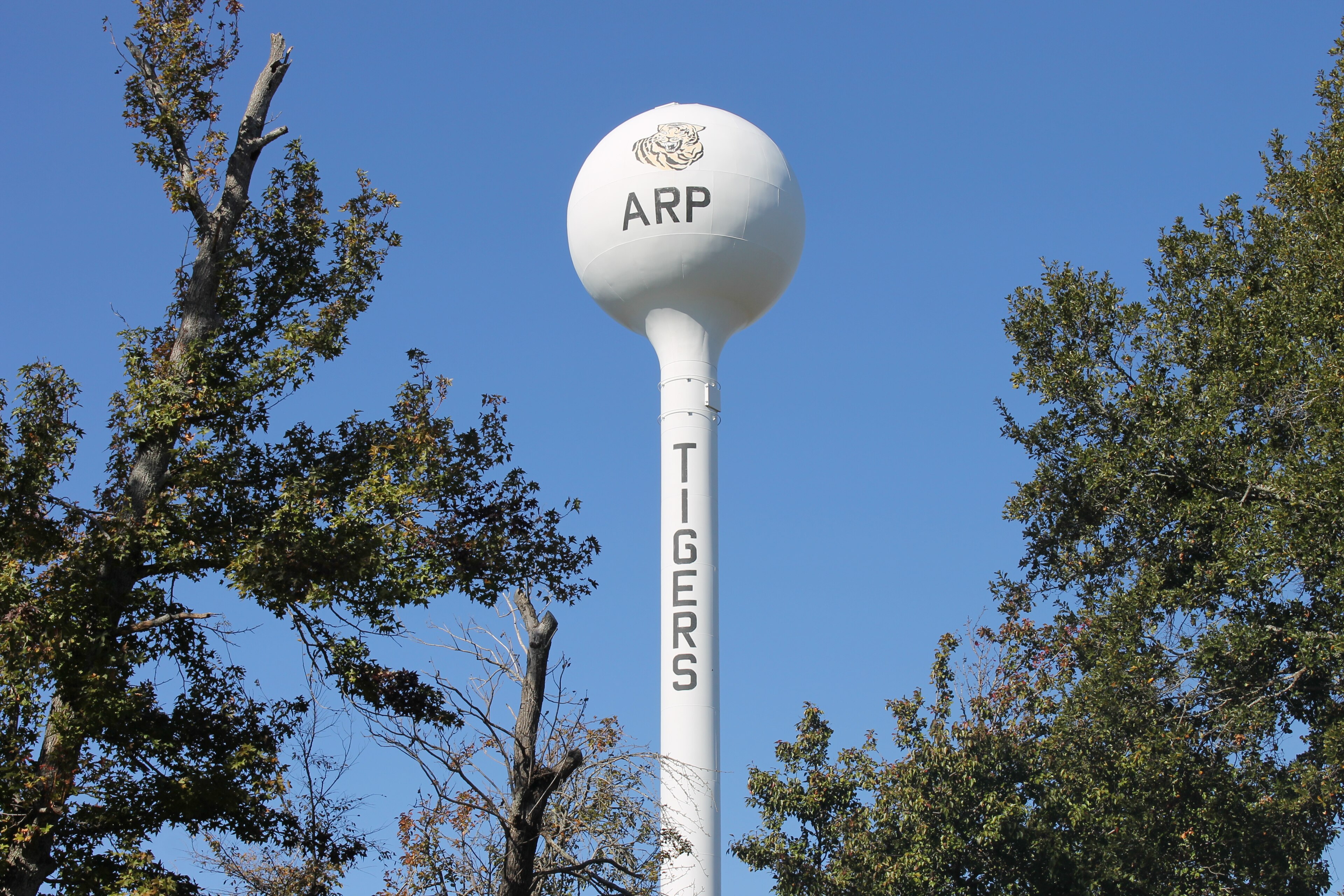 Arp, Texas