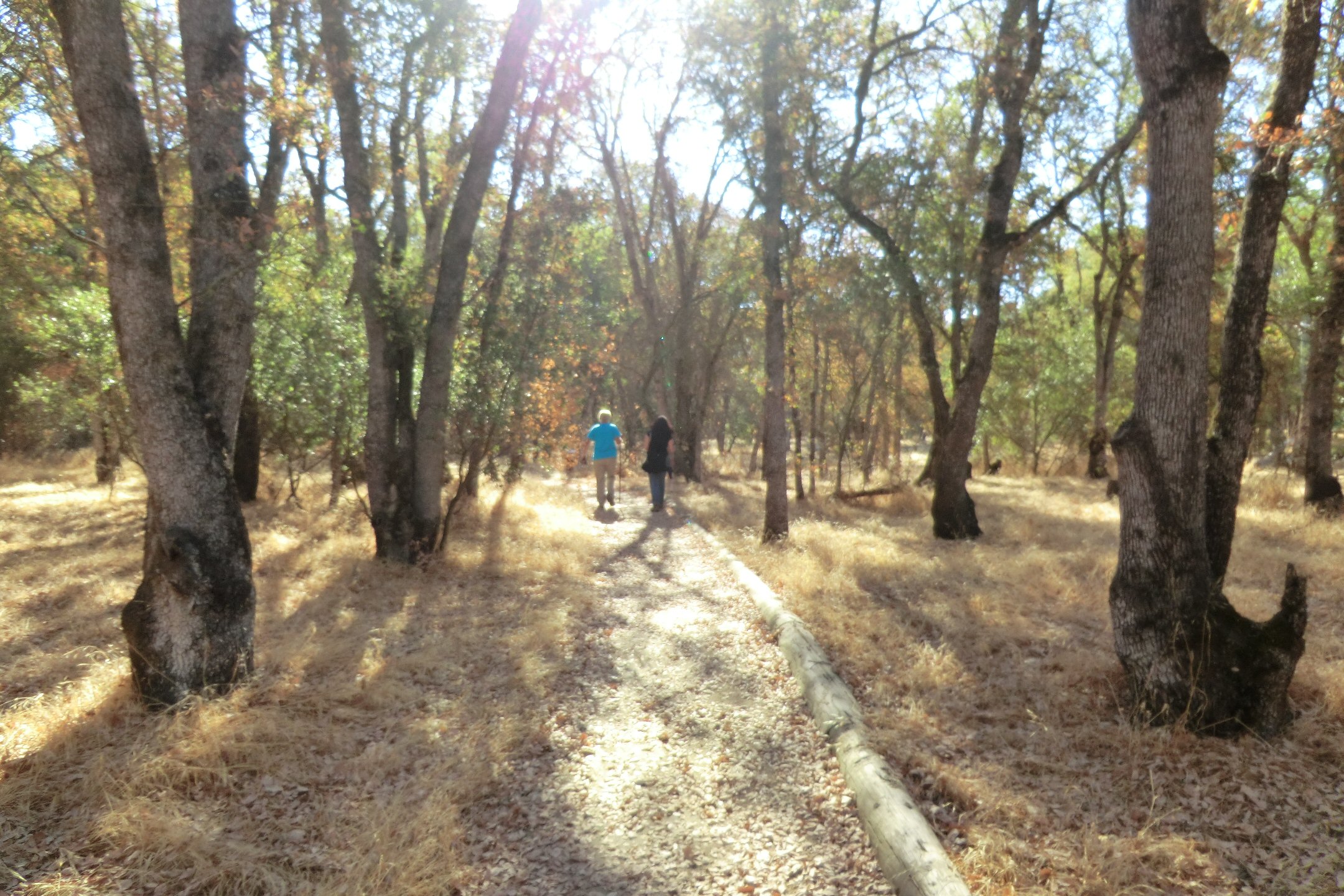 Orangevale, California